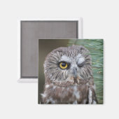 オオフクロウ マグネット (正面/裏面)