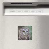 オオフクロウ マグネット (インサイチュ (食洗機))