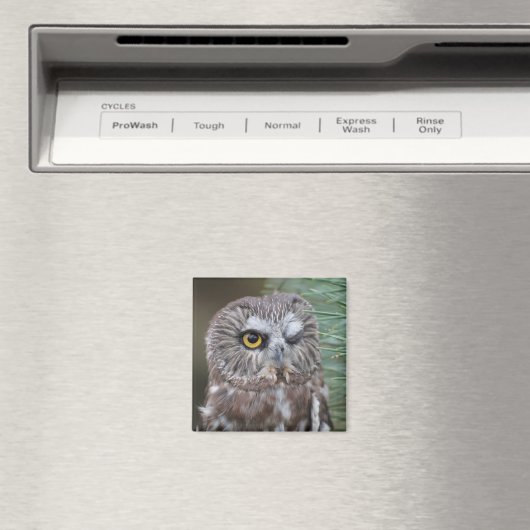 オオフクロウ マグネット (インサイチュ (食洗機))