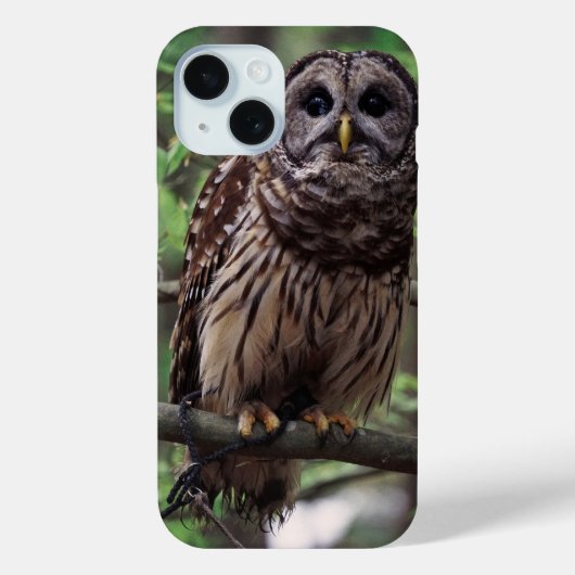 オオフクロオウムクドリ Case-Mate iPhoneケース (裏面)