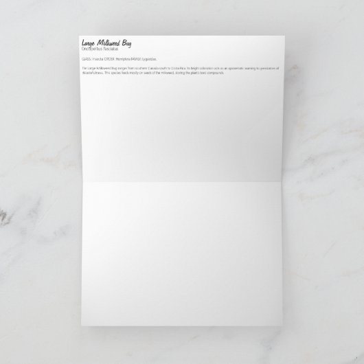 オオミズク カード (内部)