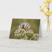 オオミズク カード (黄色い花)