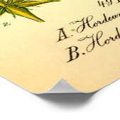 オオムギのポスター ポスター (角)