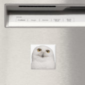 オオムノフクロウは大型フクロウである マグネット (インサイチュ (食洗機))