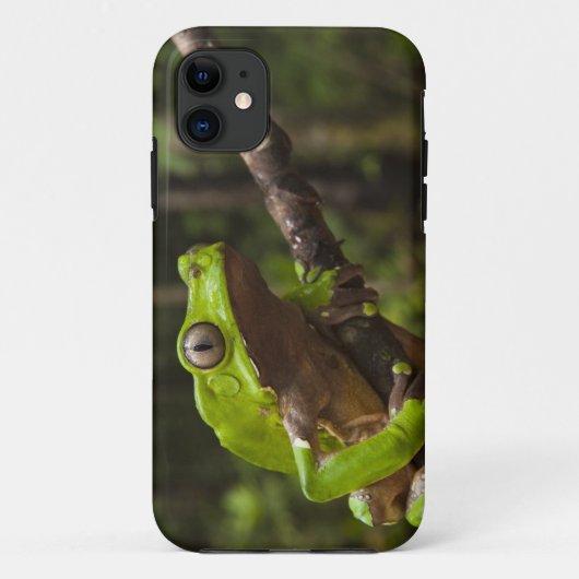 オオヤドクガエル(Phyllomedusa bicolor) Case-Mate iPhoneケース (裏面)