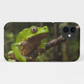 オオヤドクガエル(Phyllomedusa bicolor) Case-Mate iPhoneケース (裏面(横))