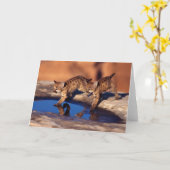 オオヤマネコのカブスの挨拶状 カード (黄色い花)