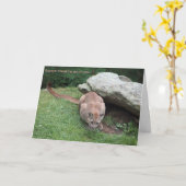 オオヤマネコのバースデー・カード カード (黄色い花)