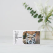 オオヤマネコのボブキャットの野性生物の捕食者猫 名刺 (スタンド正面)