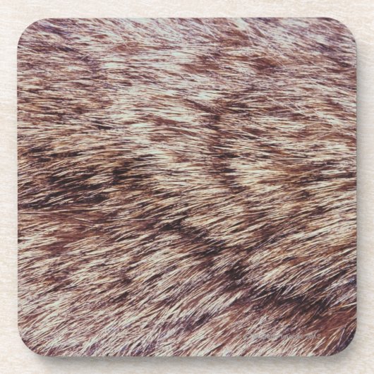 オオヤマネコの毛皮 コースター (正面)