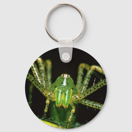 オオヤマネコグモ キーホルダー (正面)