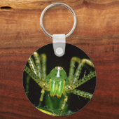 オオヤマネコグモ キーホルダー (正面)