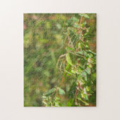 オオヤマネコグモ ジグソーパズル (縦)