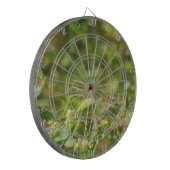 オオヤマネコグモ ダーツボード (正面左)