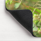 オオヤマネコグモ マウスパッド (コーナー)