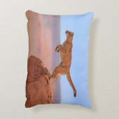 オオヤマネコ アクセントクッション (裏面(縦))