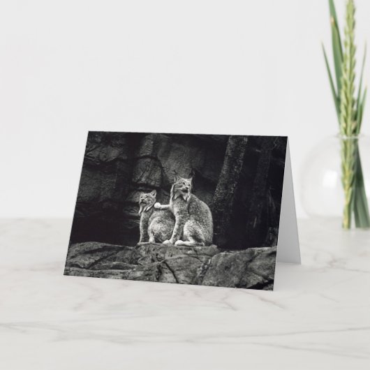 オオヤマネコ カード (正面)