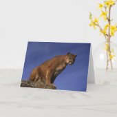 オオヤマネコ カード (黄色い花)