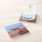 オオヤマネコ ガラスコースター (アングル)