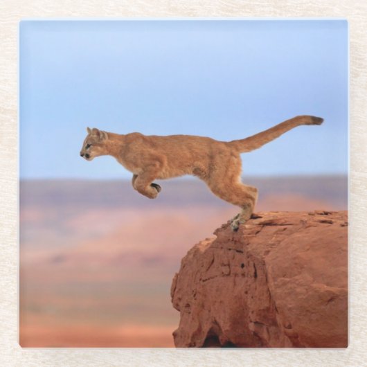 オオヤマネコ ガラスコースター (正面)