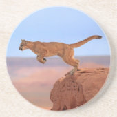 オオヤマネコ コースター (正面)