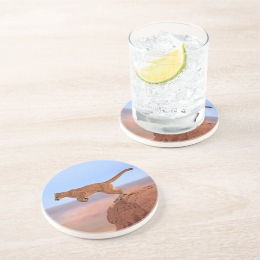 オオヤマネコ コースター (側面)