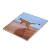 オオヤマネコ タイル (側面)