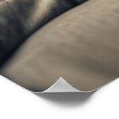 オオヤマネコ ポスター (角)