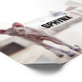 オオヤマネコ ポスター (角)