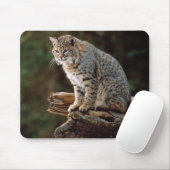オオヤマネコ マウスパッド (マウス)