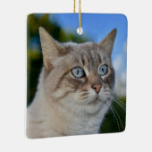 オオヤマネコ(青い目) セラミックオーナメント (右)