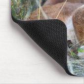 オオヤマネコ- Hmmm マウスパッド (コーナー)