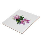 オオユリ タイル (側面)