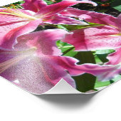 オオユリ フォトプリント            (角)