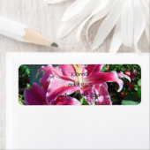 オオユリ ラベル (インサイチュ)