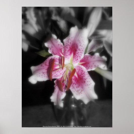 オオユリ#3 ポスター (正面)