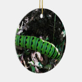 オオ救オ(昆虫)オオカバマダラ、モナーク |軌跡 セラミックオーナメント (右)