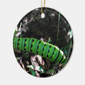 オオ救オ(昆虫)オオカバマダラ、モナーク |軌跡 セラミックオーナメント (左)