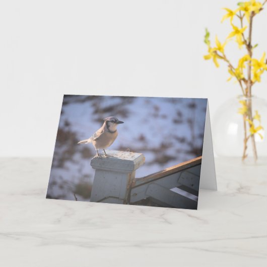 オカケス カード (黄色い花)