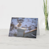 オカケス カード (正面)