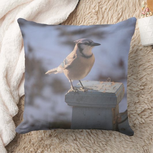 オカケス クッション (ブランケット)