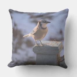 オカケス クッション