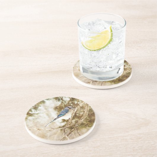 オカケス コースター (側面)