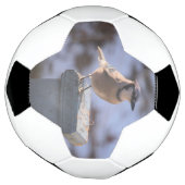 オカケス サッカーボール (回転)