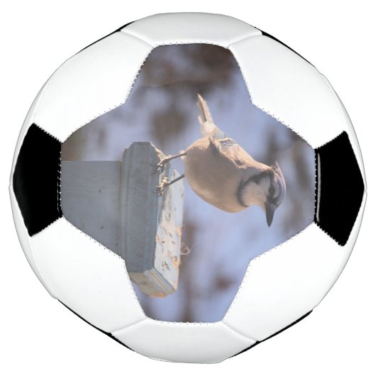 オカケス サッカーボール (回転)