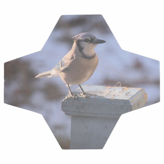 オカケス サッカーボール (フラット)