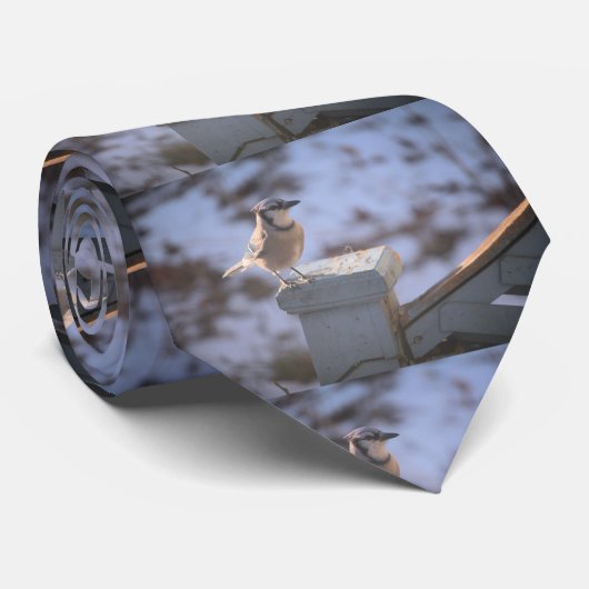 オカケス ネクタイ (ロール)