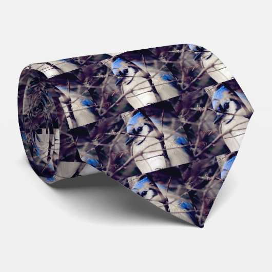 オカケス ネクタイ (ロール)