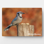 オカケス フォトプラーク (正面)