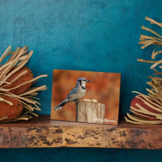 オカケス フォトプラーク (側面)